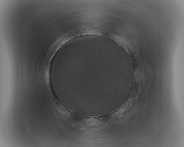 X0000110700290200906191533