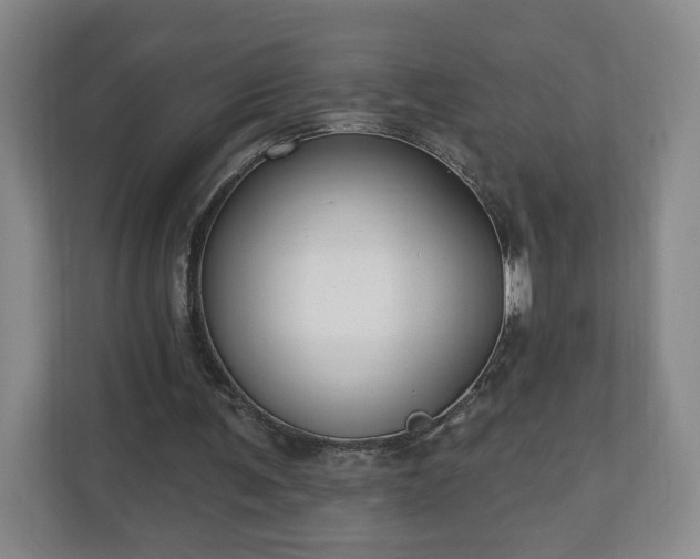 X0000110700291200906191533