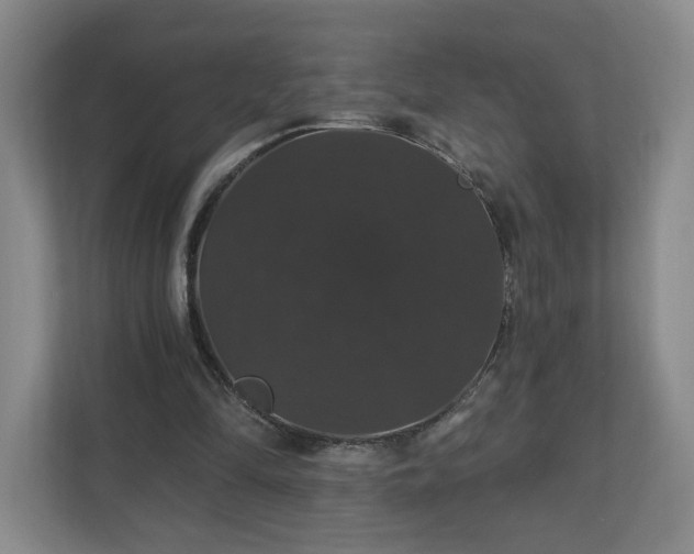 X0000110700294200906191533