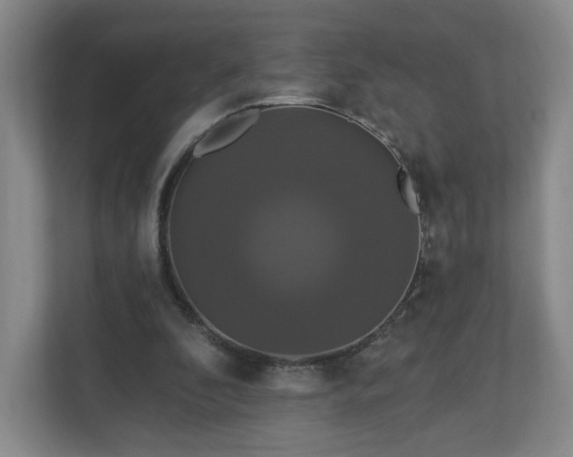 X0000110700296200906191533