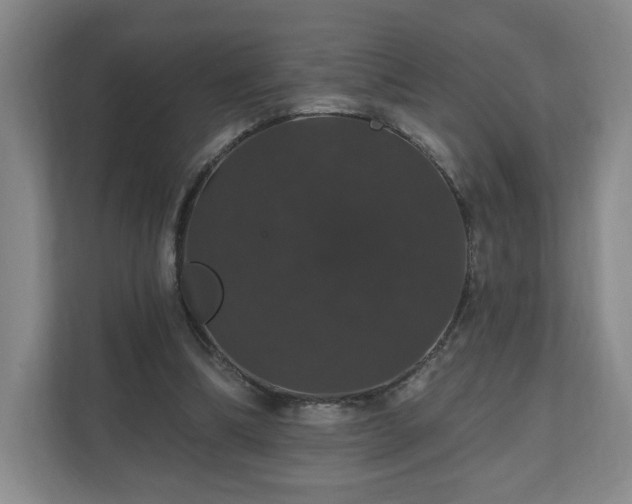 X0000110700298200906191533