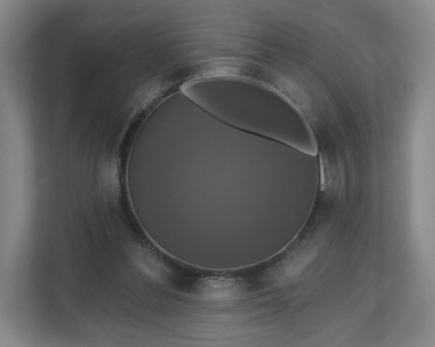X0000110700300200906191533