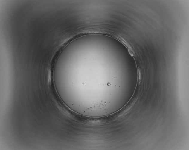X0000110700301200906191533