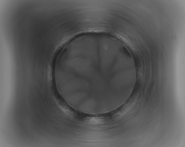 X0000110700303200906191533