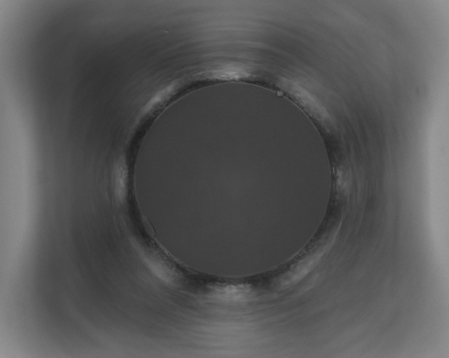 X0000110700304200906191533