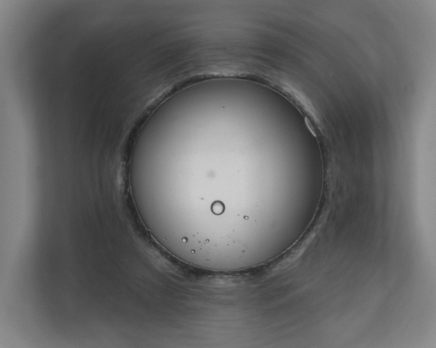 X0000110700305200906191533