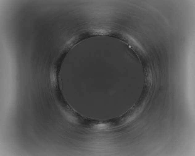 X0000110700312200906191533