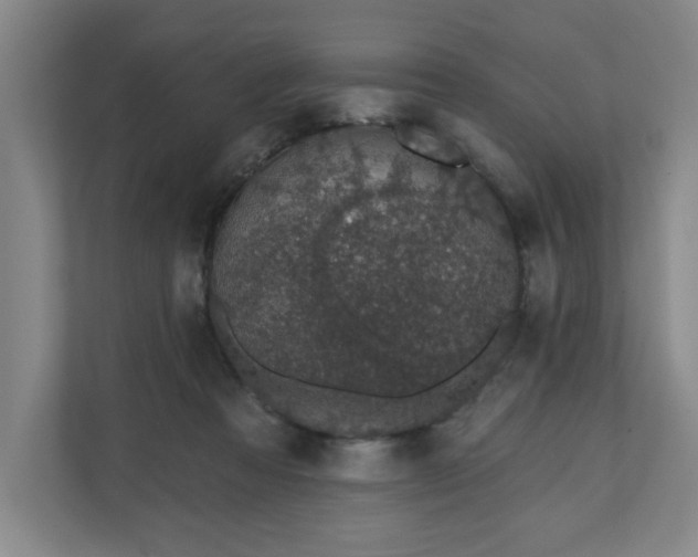 X0000110700313200906191533