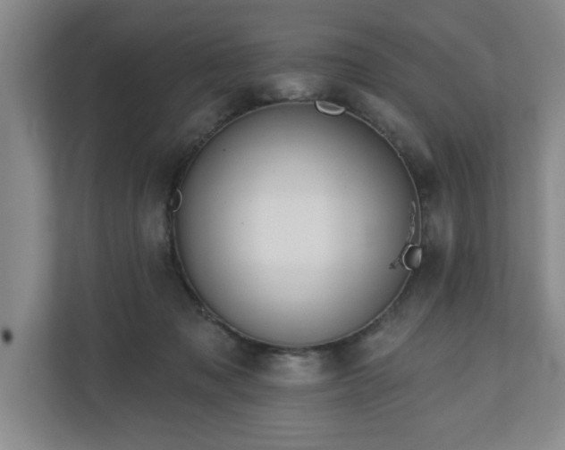 X0000110700317200906191532