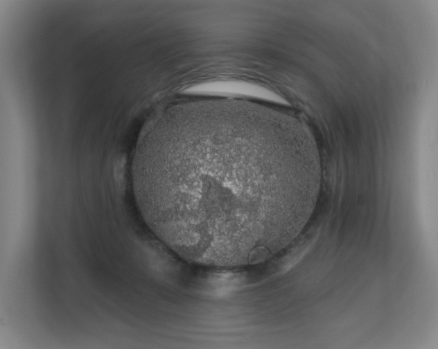 X0000110700319200906191532