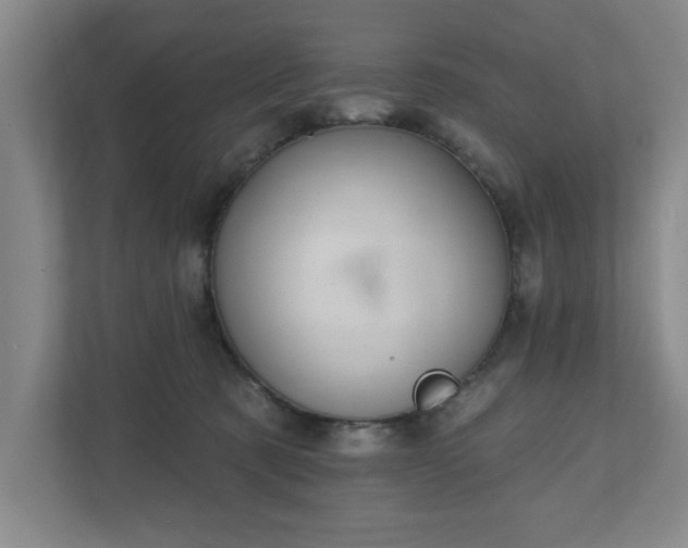 X0000110700321200906191532