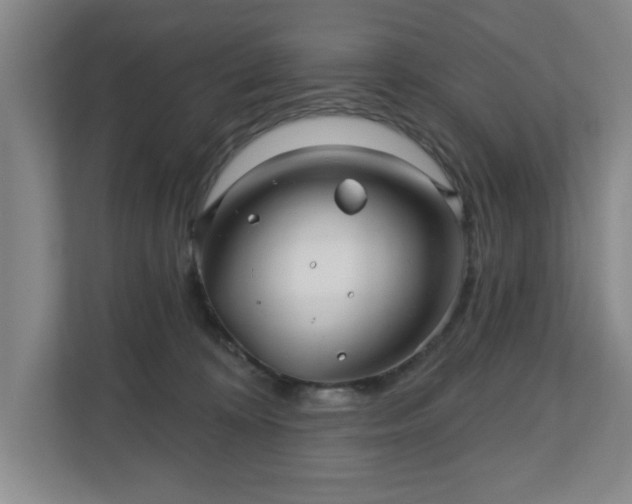 X0000110700324200906191532