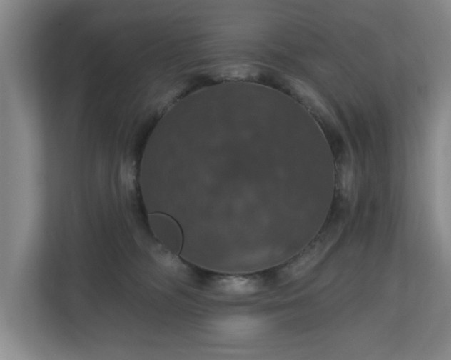 X0000110700326200906191532