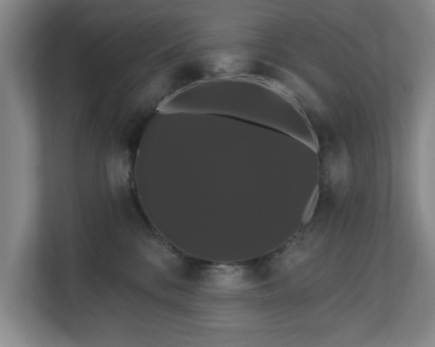 X0000110700328200906191532