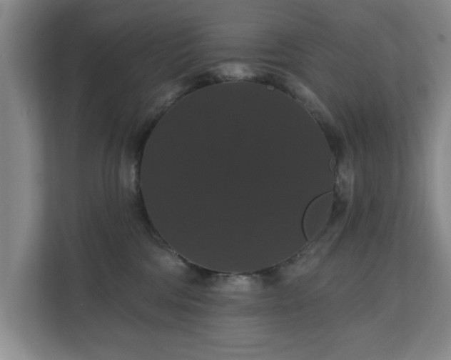 X0000110700330200906191532