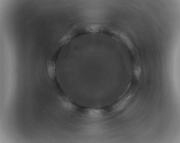 X0000110700332200906191532