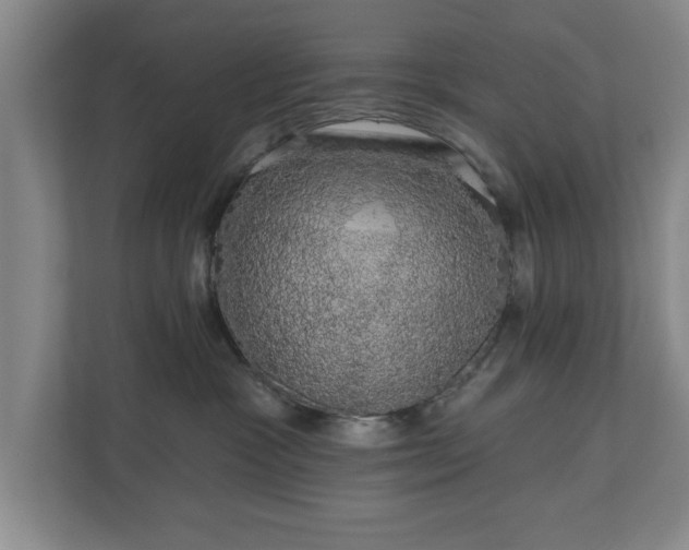 X0000110700333200906191532