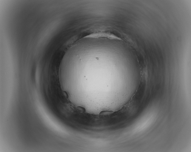 X0000110700335200906191532