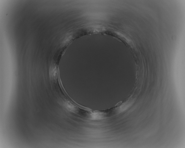 X0000110700336200906191532