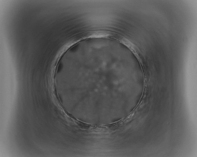 X0000110700337200906191532