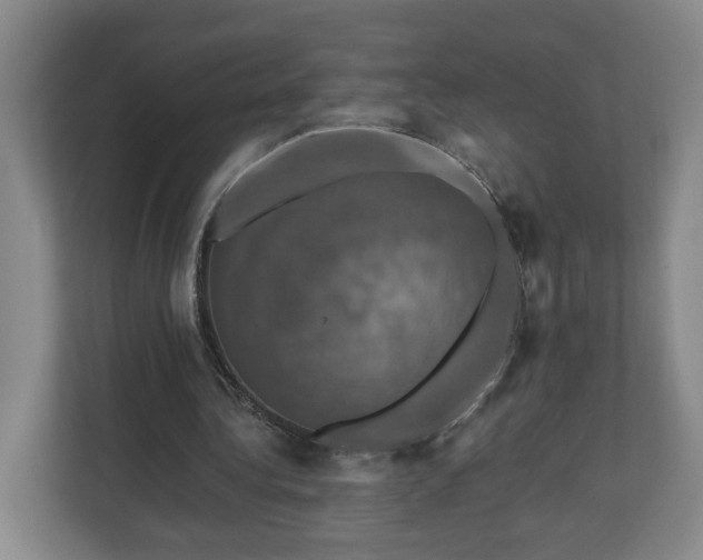 X0000110700340200906191532