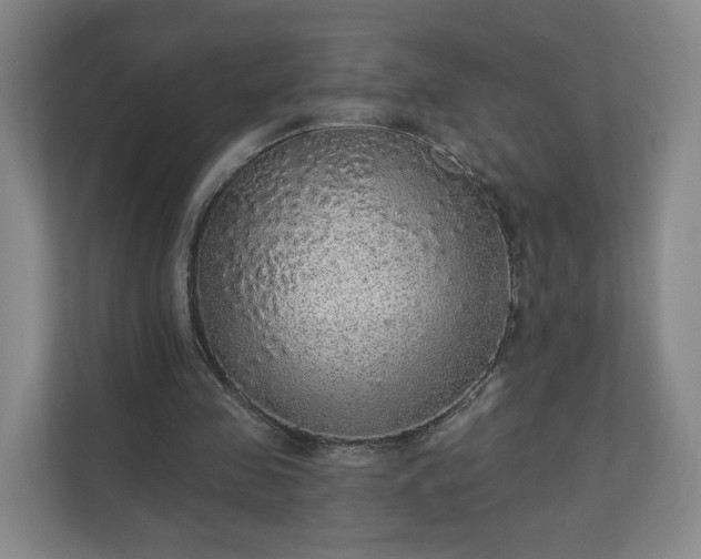 X0000110700341200906191532