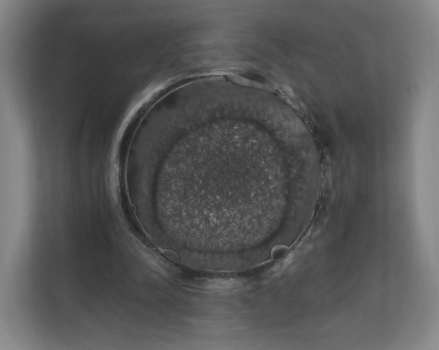 X0000110700342200906191532