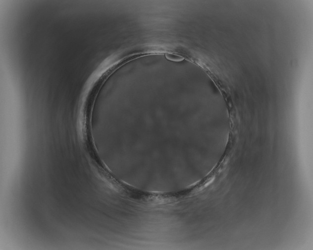 X0000110700343200906191532