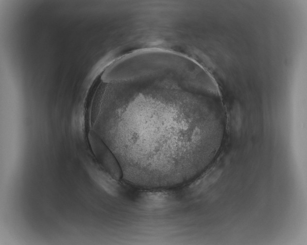 X0000110700344200906191532