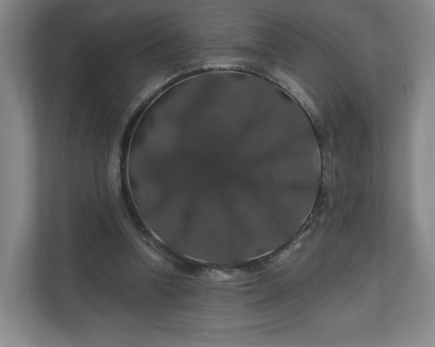 X0000110700346200906191532