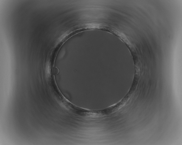 X0000110700347200906191532
