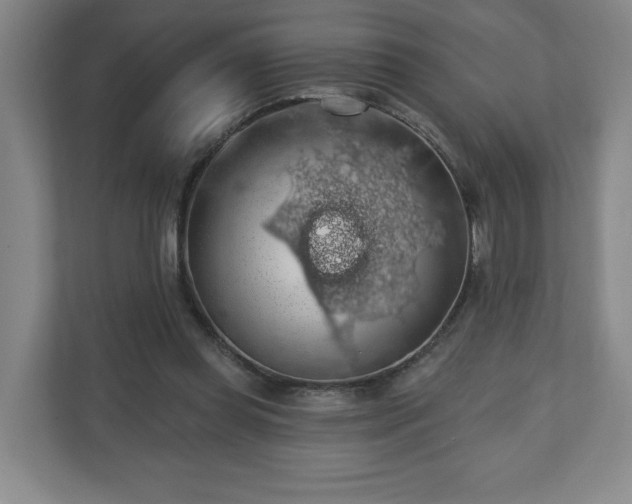 X0000110700349200906191532