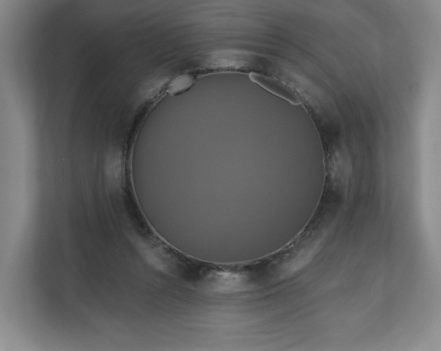 X0000110700352200906191532