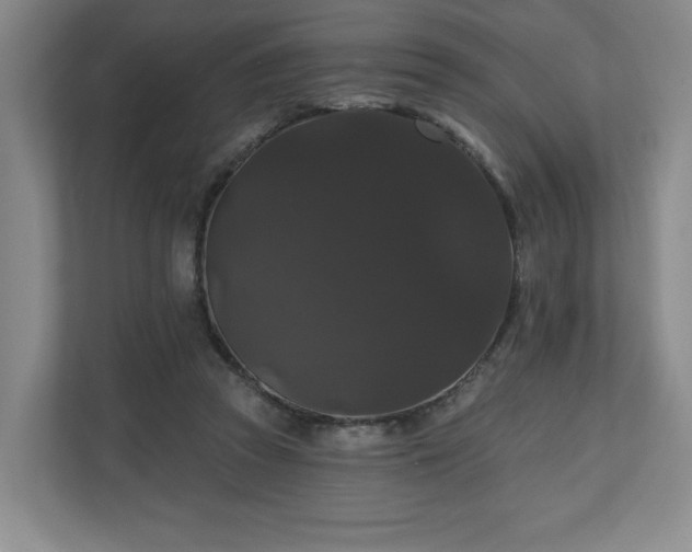 X0000110700353200906191532