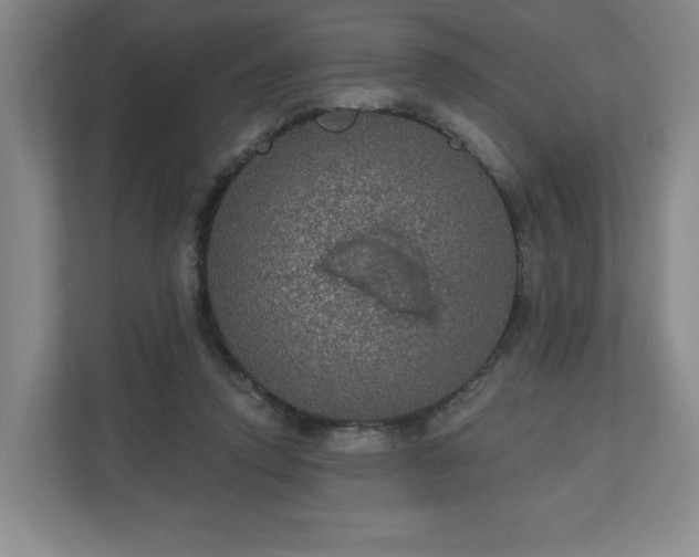 X0000110700354200906191532
