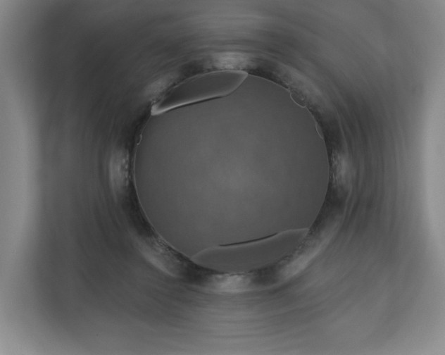 X0000110700356200906191532