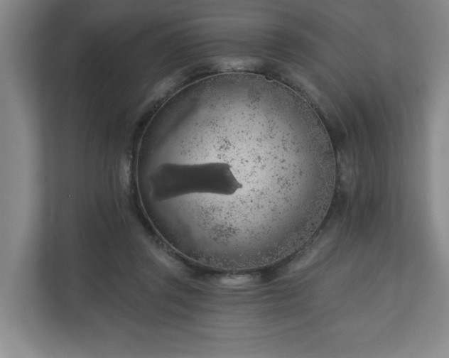 X0000110700357200906191532