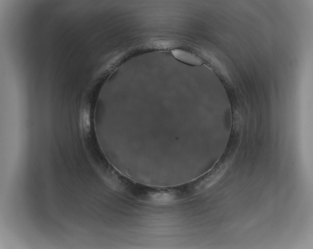 X0000110700358200906191532