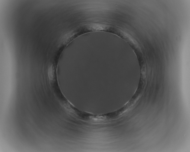 X0000110700359200906191532