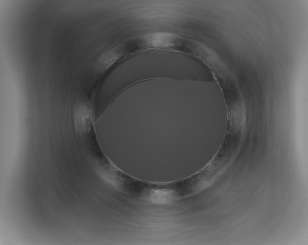 X0000110700360200906191532