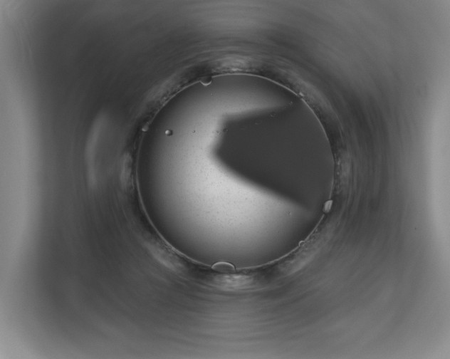 X0000110700361200906191532