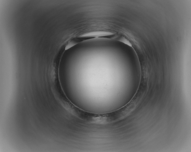 X0000110700362200906191532