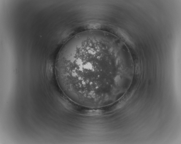 X0000110700363200906191532