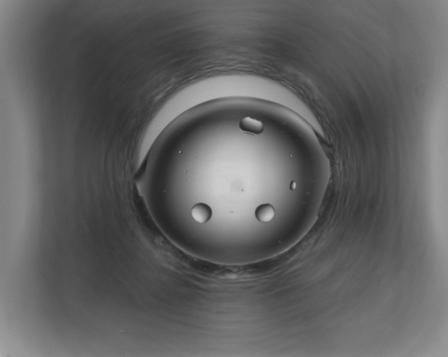 X0000110700364200906191532