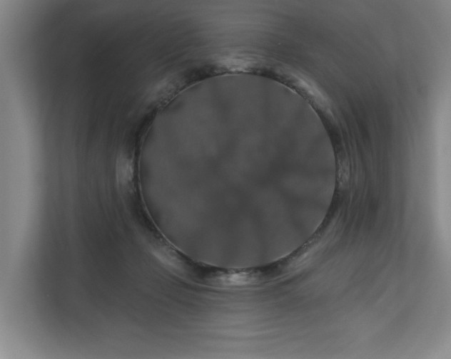 X0000110700365200906191532