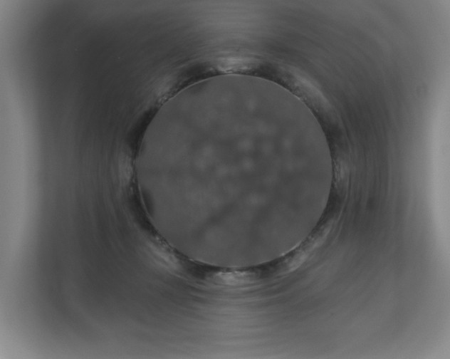 X0000110700367200906191532
