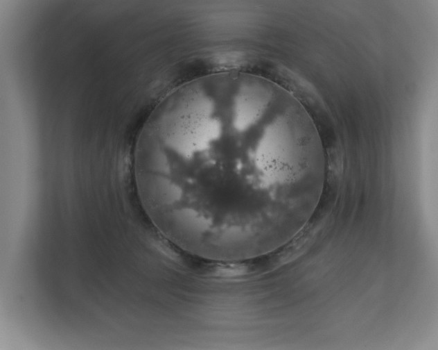 X0000110700369200906191532