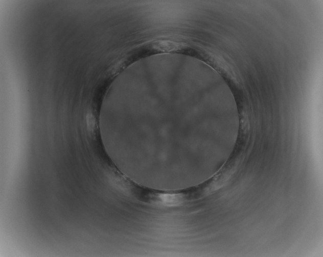 X0000110700371200906191532