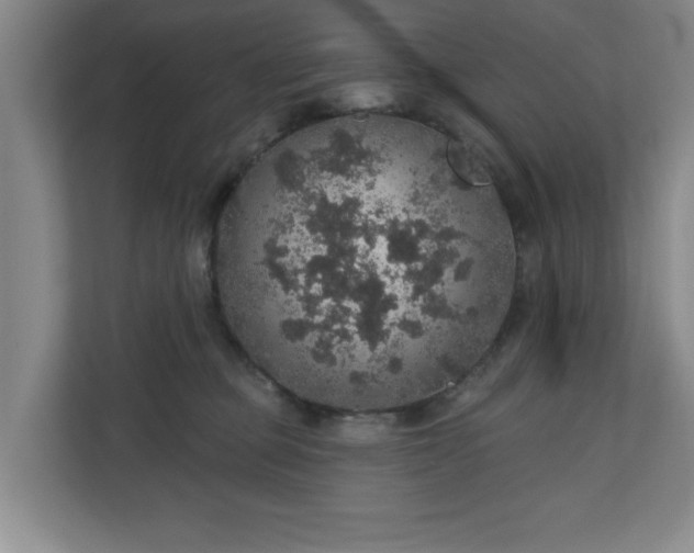X0000110700373200906191532