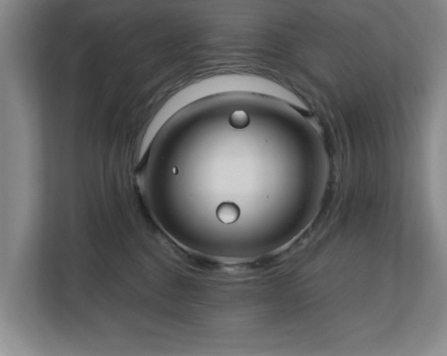 X0000110700376200906191532